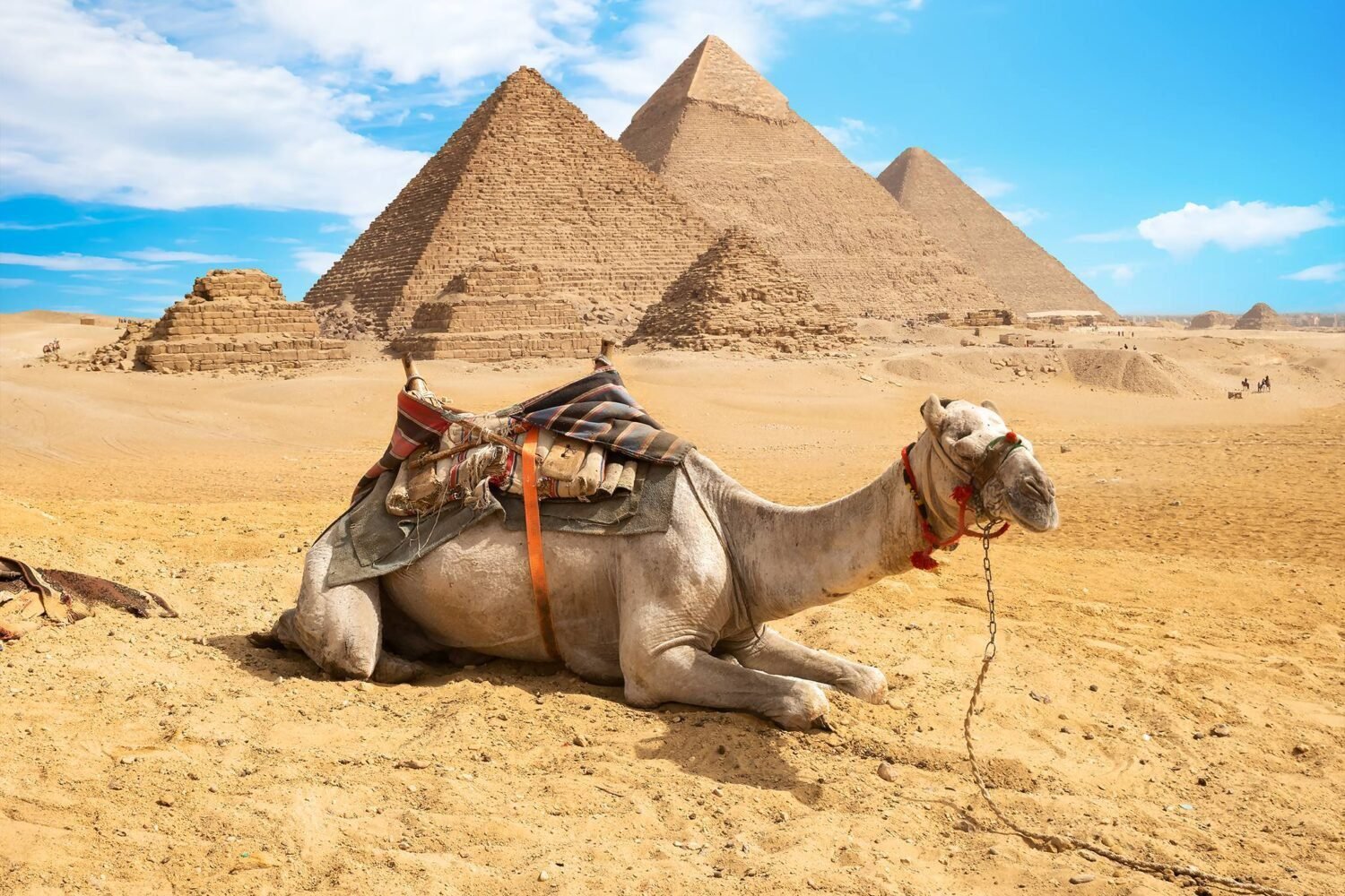 8 day vacation package - Giza pyramids