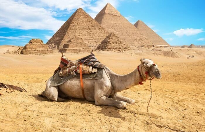 8 day vacation package - Giza pyramids